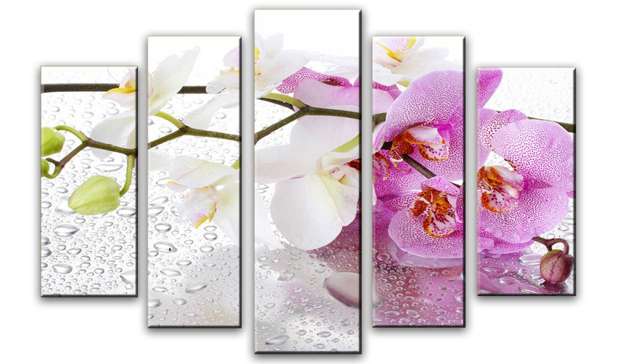 Модульная картина - Капли воды на орхидеи