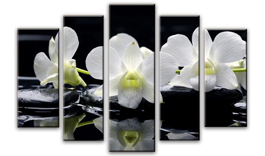 Модульная картина - Орхидея на камнях