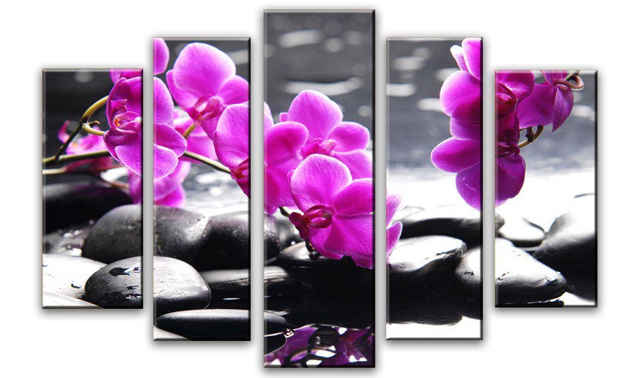 Модульная картина - Розовая орхидея на камнях