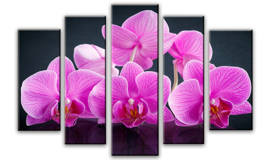 Модульная картина - Цветы орхидеи
